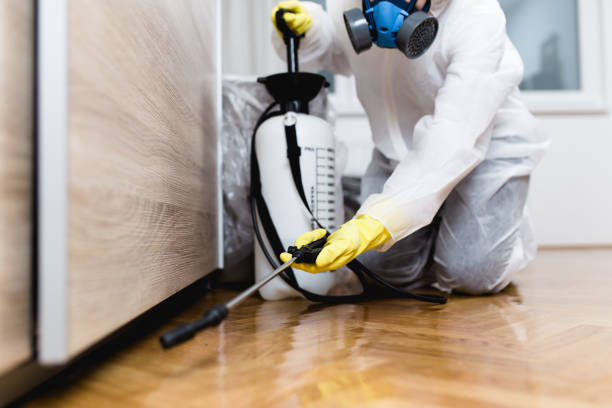 Best Residential Pest Control  in Delta Junction, AK