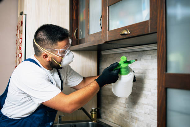 Best Pest Control for Restaurants  in Delta Junction, AK