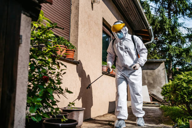 Best Flea Control Services  in Delta Junction, AK