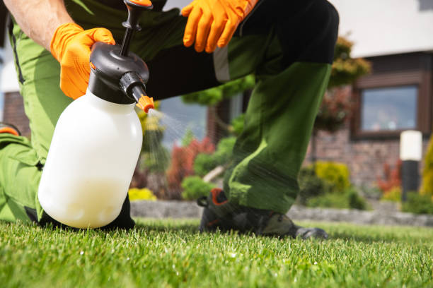 Pest Control for Restaurants in Delta Junction, AK