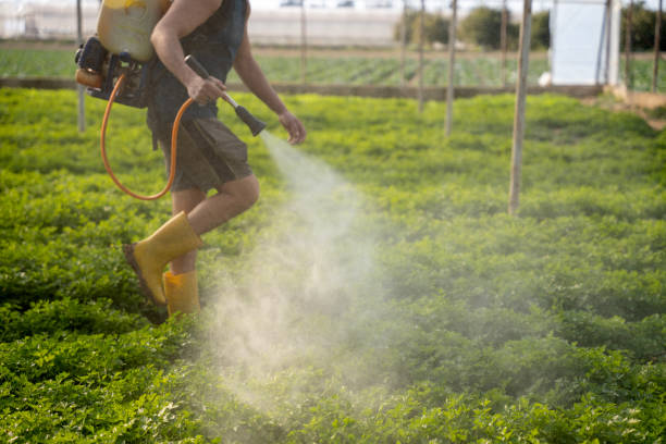 Best Flea Control Services  in Delta Junction, AK