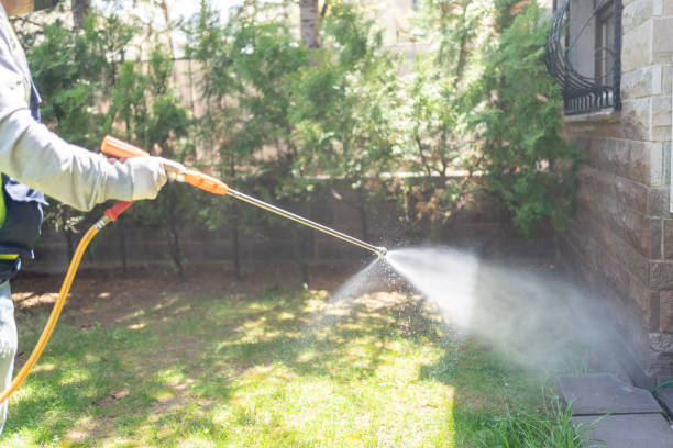 Best Emergency Pest Control  in Delta Junction, AK