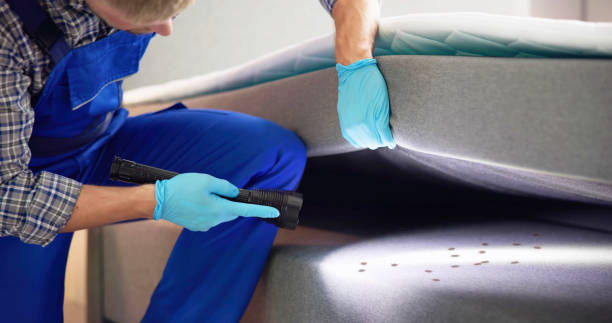 Best Pest Inspection Near Me  in Delta Junction, AK