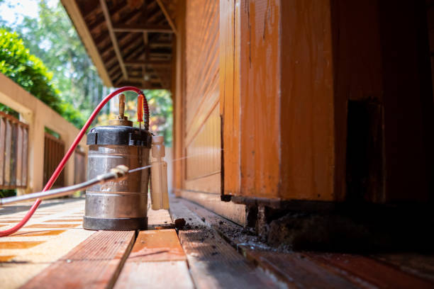 Best Pest Removal Services  in Delta Junction, AK