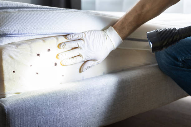 Best Commercial Pest Control Services  in Delta Junction, AK