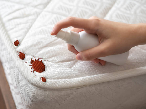 Best Local Pest Control Services  in Delta Junction, AK